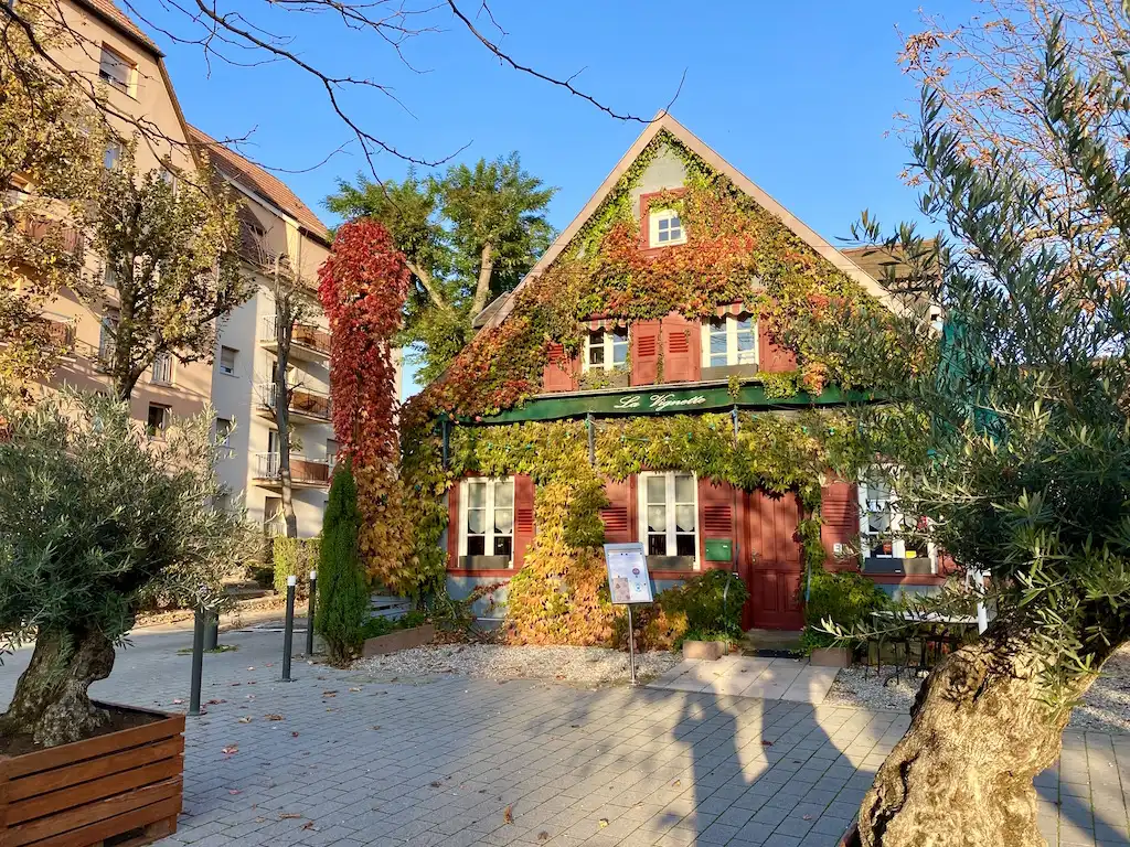 strasbourg quartier Robertsau