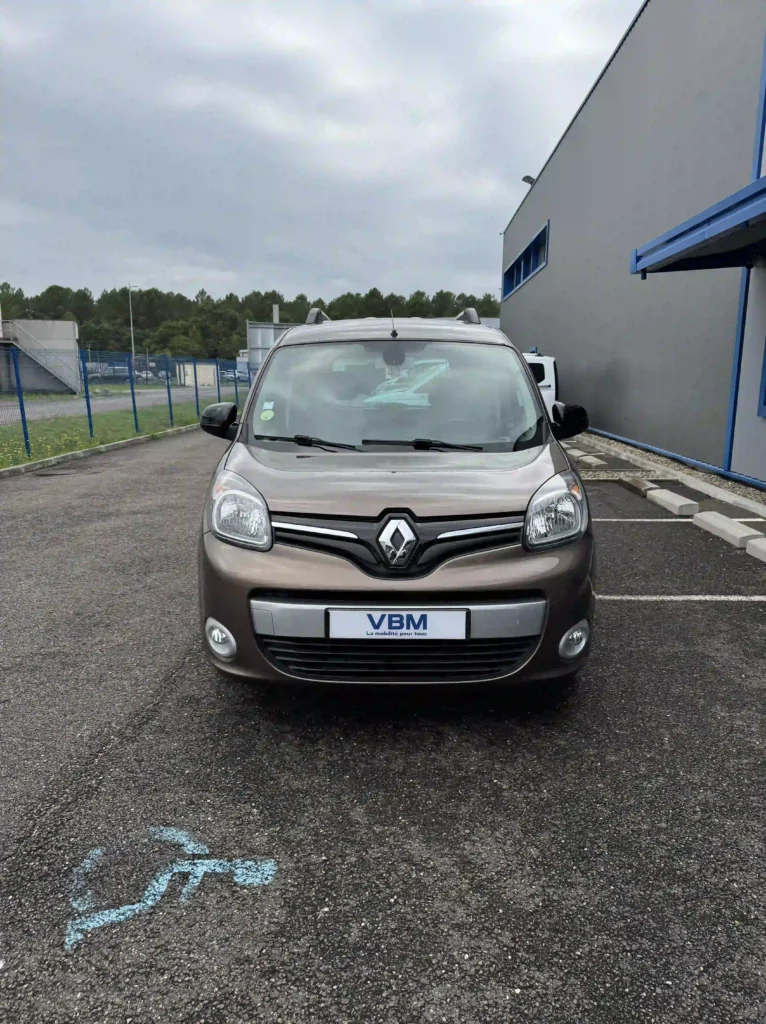 VBM : RENAULT Kangoo TPMR MARRON 4 + 1 avant de loin